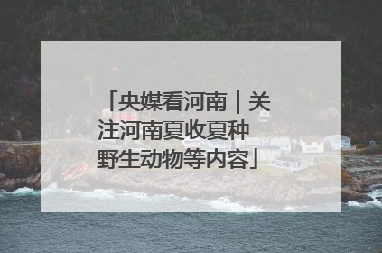 央媒看河南｜关注河南夏收夏种 野生动物等内容