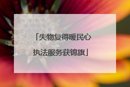 失物复得暖民心 执法服务获锦旗