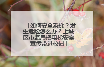 如何安全乘梯？发生危险怎么办？上城区市监局把电梯安全宣传带进校园