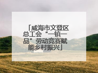 威海市文登区总工会“一镇一品”劳动竞赛赋能乡村振兴