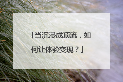 当沉浸成顶流，如何让体验变现？