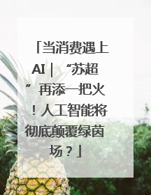 当消费遇上AI｜“苏超”再添一把火！人工智能将彻底颠覆绿茵场？