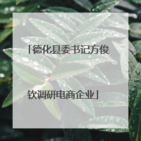 德化县委书记方俊钦调研电商企业