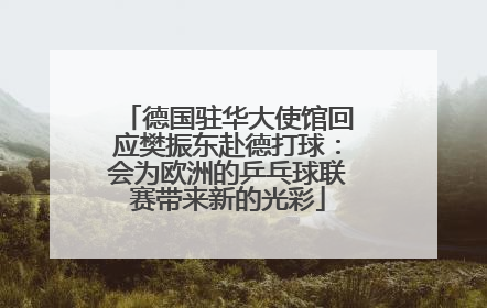 德国驻华大使馆回应樊振东赴德打球：会为欧洲的乒乓球联赛带来新的光彩