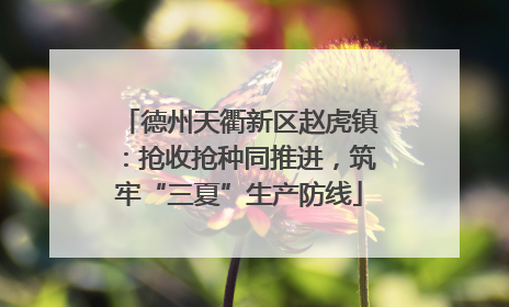 德州天衢新区赵虎镇：抢收抢种同推进，筑牢“三夏”生产防线
