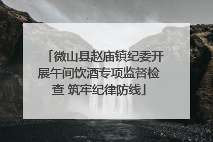 微山县赵庙镇纪委开展午间饮酒专项监督检查 筑牢纪律防线