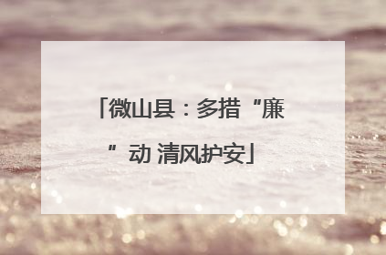 微山县：多措“廉”动 清风护安