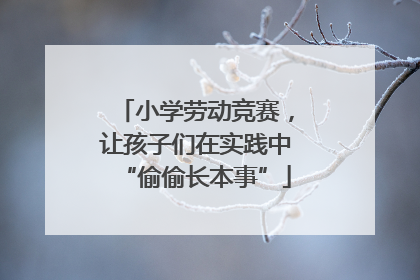 小学劳动竞赛，让孩子们在实践中“偷偷长本事”