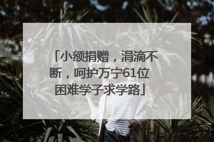 小额捐赠，涓滴不断，呵护万宁61位困难学子求学路