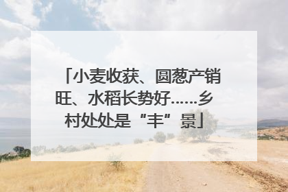 小麦收获、圆葱产销旺、水稻长势好……乡村处处是“丰”景