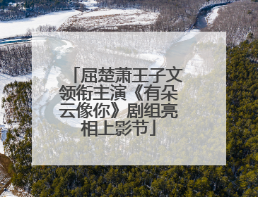 屈楚萧王子文领衔主演《有朵云像你》剧组亮相上影节
