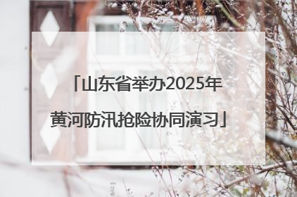 山东省举办2025年黄河防汛抢险协同演习