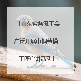 山东省各级工会广泛开展巾帼劳模工匠宣讲活动