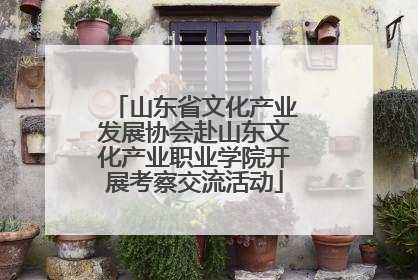 山东省文化产业发展协会赴山东文化产业职业学院开展考察交流活动