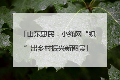 山东惠民：小绳网“织”出乡村振兴新图景