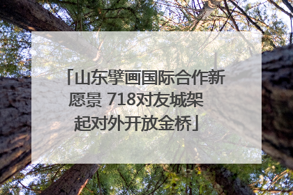 山东擘画国际合作新愿景 718对友城架起对外开放金桥