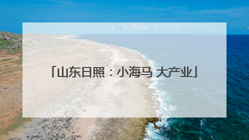 山东日照：小海马 大产业