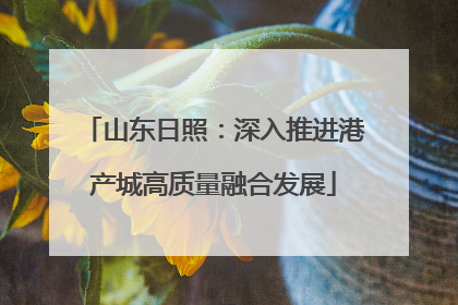 山东日照：深入推进港产城高质量融合发展
