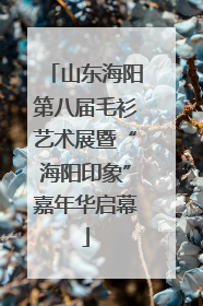 山东海阳第八届毛衫艺术展暨“海阳印象”嘉年华启幕