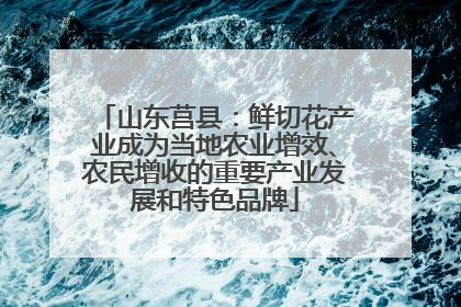 山东莒县：鲜切花产业成为当地农业增效、农民增收的重要产业发展和特色品牌