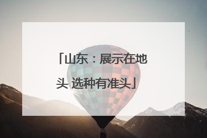山东：展示在地头 选种有准头