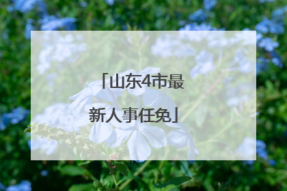 山东4市最新人事任免