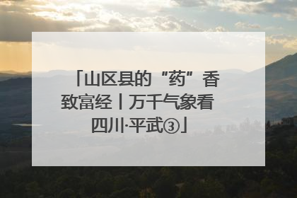 山区县的“药”香致富经丨万千气象看四川·平武③