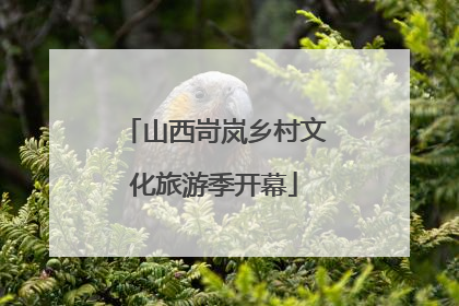 山西岢岚乡村文化旅游季开幕