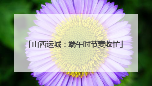 山西运城：端午时节麦收忙