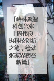 峰林聚智 科创兴张丨周伟良：执科技创新之笔，绘就张家界药谷新篇