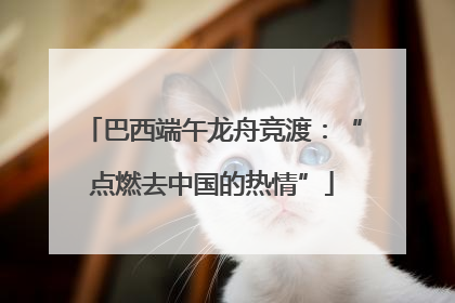 巴西端午龙舟竞渡：“点燃去中国的热情”