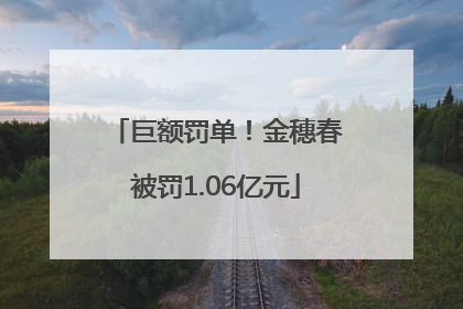巨额罚单！金穗春被罚1.06亿元