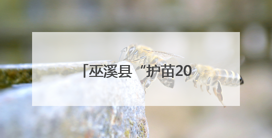 巫溪县“护苗2025”暨“缤纷六一筑童梦 护苗行动伴成长”活动启动