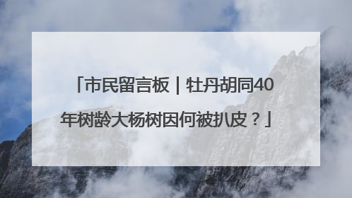 市民留言板｜牡丹胡同40年树龄大杨树因何被扒皮？