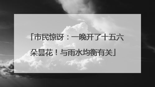 市民惊讶：一晚开了十五六朵昙花！与雨水均衡有关