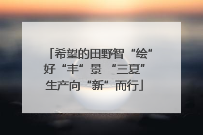 希望的田野智“绘”好“丰”景 “三夏”生产向“新”而行