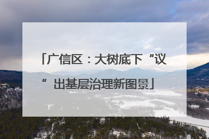 广信区：大树底下“议”出基层治理新图景