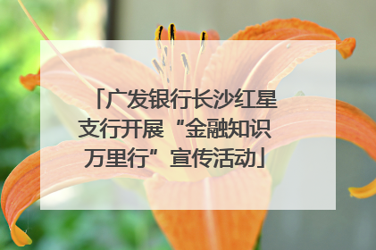 广发银行长沙红星支行开展“金融知识万里行”宣传活动