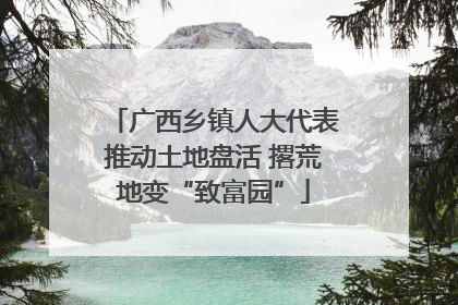 广西乡镇人大代表推动土地盘活 撂荒地变“致富园”