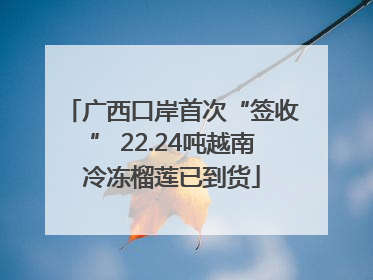 广西口岸首次“签收” 22.24吨越南冷冻榴莲已到货