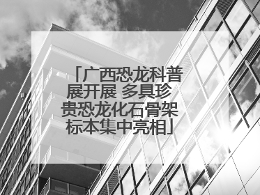 广西恐龙科普展开展 多具珍贵恐龙化石骨架标本集中亮相