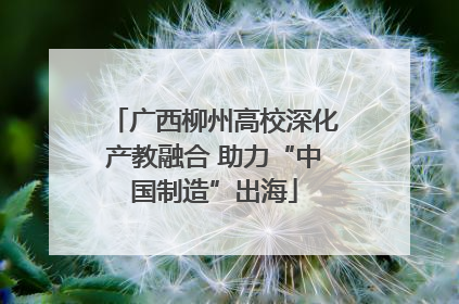 广西柳州高校深化产教融合 助力“中国制造”出海