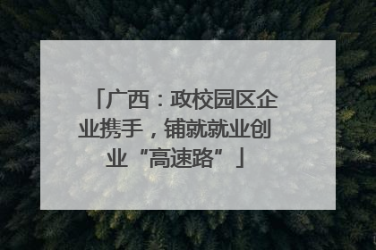 广西：政校园区企业携手，铺就就业创业“高速路”