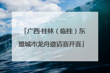 广西·桂林（临桂）东盟城市龙舟邀请赛开赛