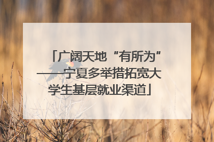 广阔天地“有所为”——宁夏多举措拓宽大学生基层就业渠道