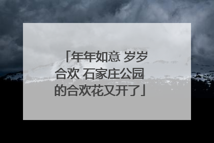年年如意 岁岁合欢 石家庄公园的合欢花又开了