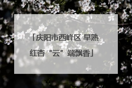 庆阳市西峰区 早熟红杏“云”端飘香