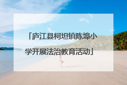 庐江县柯坦镇陈埠小学开展法治教育活动
