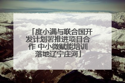 度小满与联合国开发计划署推进项目合作 中小微赋能培训落地辽宁庄河