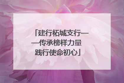 建行柘城支行——传承榜样力量 践行使命初心